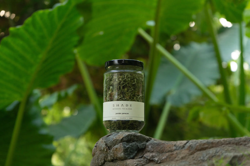 Jar of Shade Botanicals Tea Blend labeled 'Shade' on a rock with green foliage in the background
