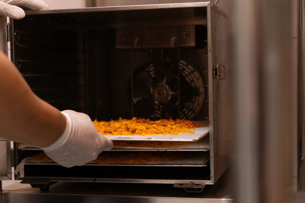 Person wearing gloves placing a tray of food into an industrial oven.