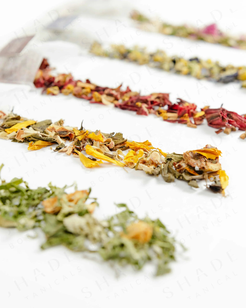 Shade Botanicals Citrus Green loose leaf tea arranged neatly on a white background