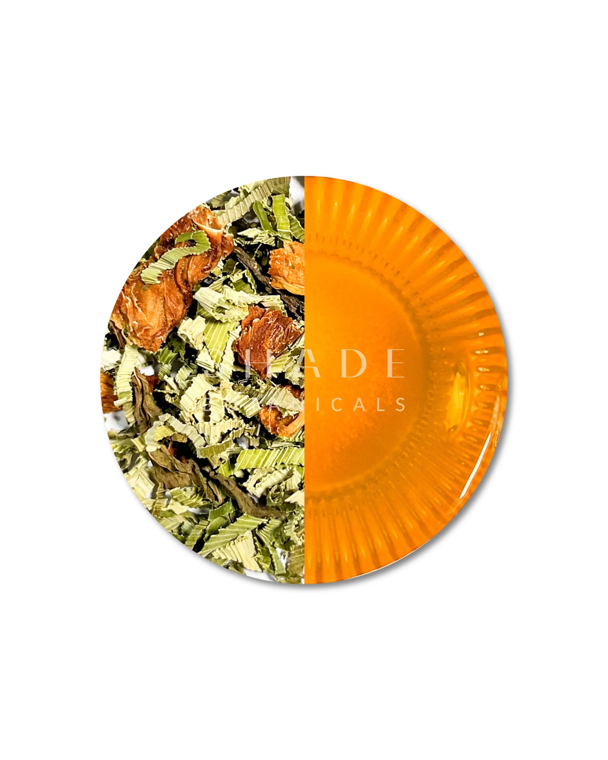 Top view of Shade Botanicals Pandan Panacea travel pack with light green tea blend color